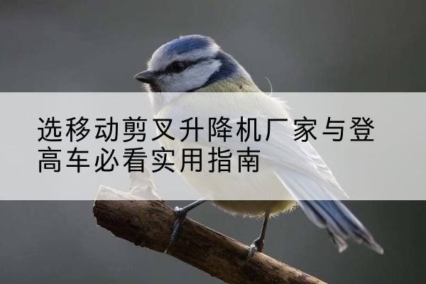 雄县电动升降机厂家-选移动剪叉升降机厂家与登高车必看实用指南