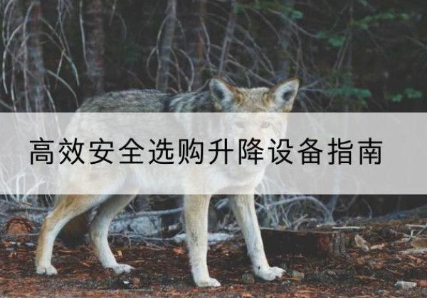 雄县升降货梯厂家推荐-*安全选购升降设备指南