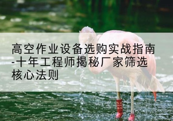 雄县剪叉式升降机厂家-高空作业设备选购实战指南-十年工程师揭秘厂家筛选核心法则